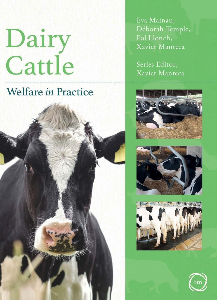 Dairy Cattle Welfare In Practice