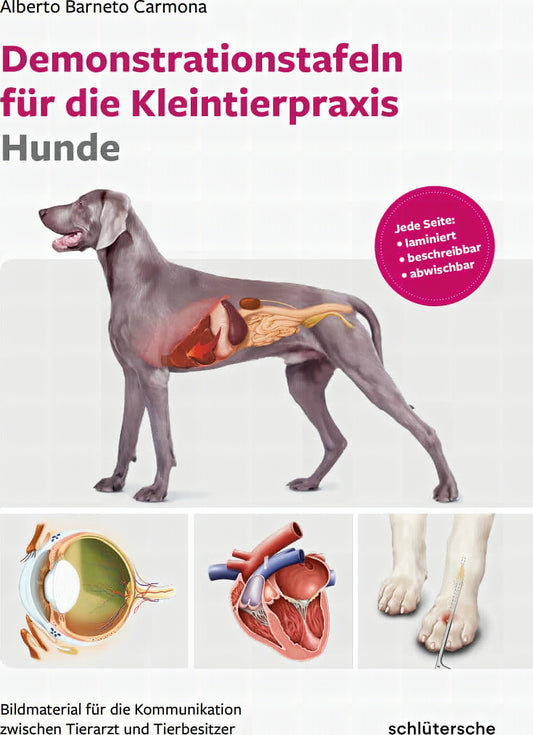 Demonstrationstafeln Fr Die Kleintierpraxis Hunde