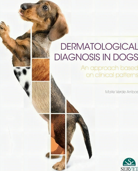 Dermatological Diagnosis In Dogs An Approach Based On Clinical Pattern