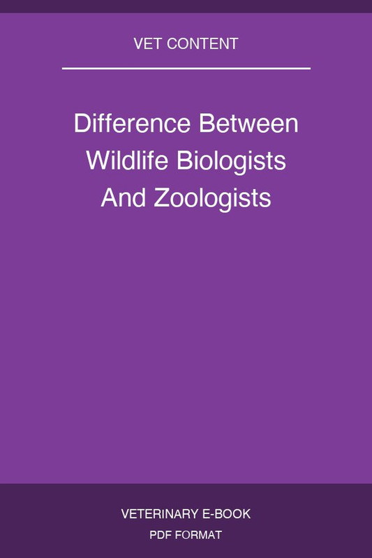 Difference Between Wildlife Biologists And Zoologists