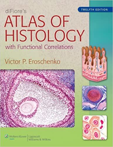 Difiores Atlas Of Histology With Functional Correlations 12Th Edition Download