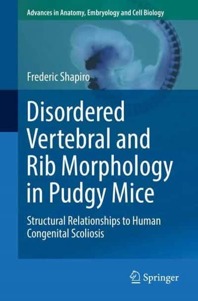 Disordered Vertebral and Rib Morphology in Pudgy Mice, Structural Relationships to Human Congenital