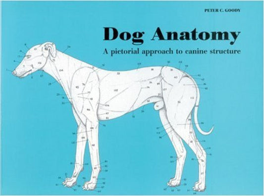 Dog Anatomy A Pictoral Approach To Canine Structure