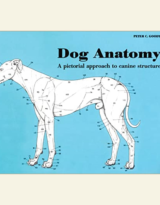 Dog Anatomy a Pictorial Approach to Canine Structure — front cover
