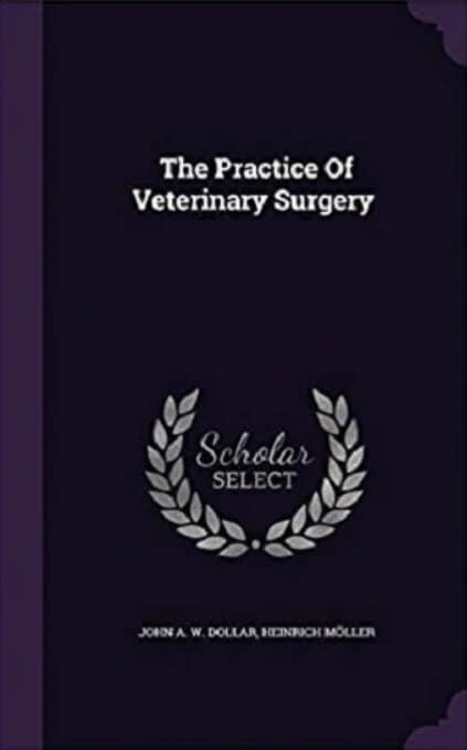 Dollars Veterinary Surgery
