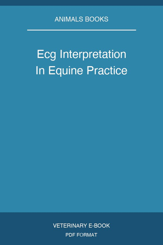 Ecg Interpretation In Equine Practice