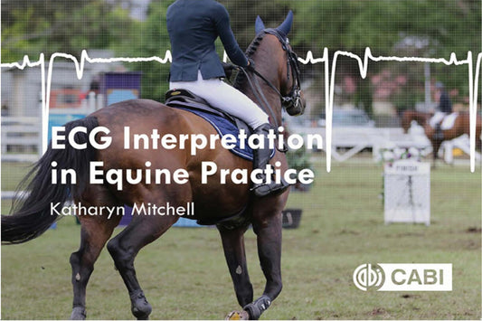 Ecg Interpretation In Equine Practice