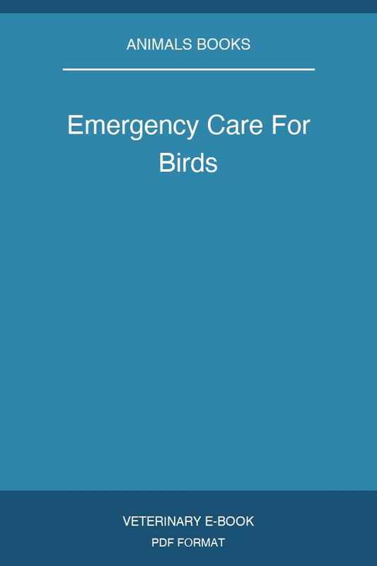 Emergency Care For Birds