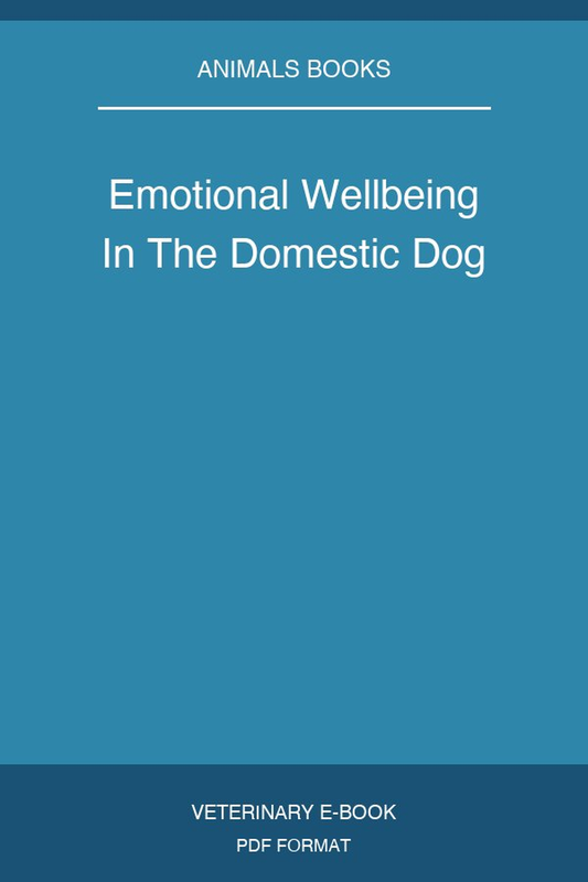 Emotional Wellbeing In The Domestic Dog