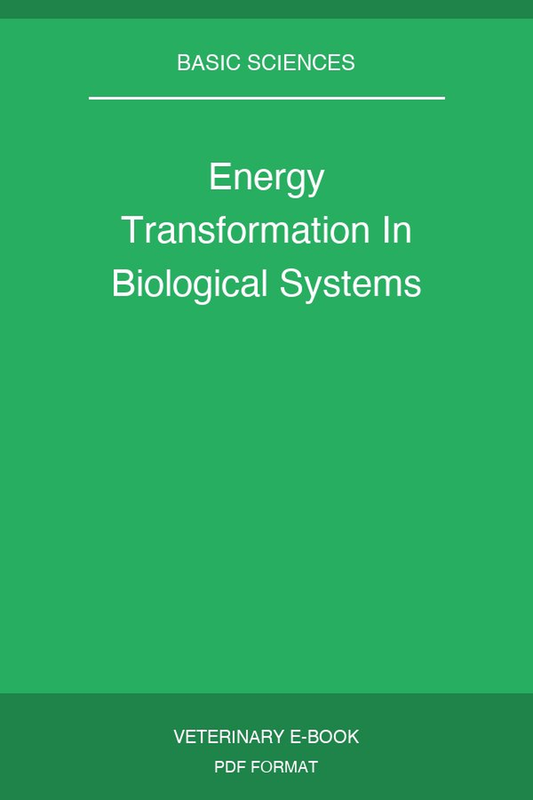 Energy Transformation In Biological Systems