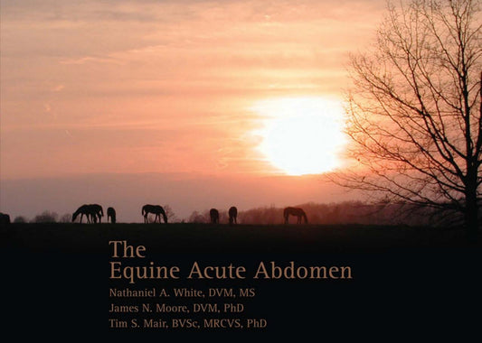 Equine Acute Abdomen