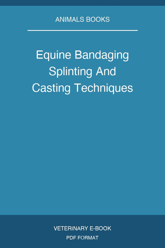 Equine Bandaging Splinting And Casting Techniques