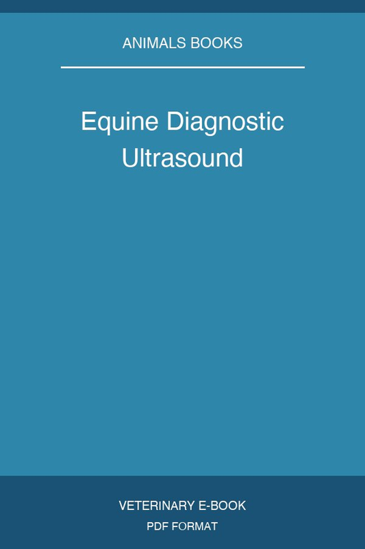 Equine Diagnostic Ultrasound