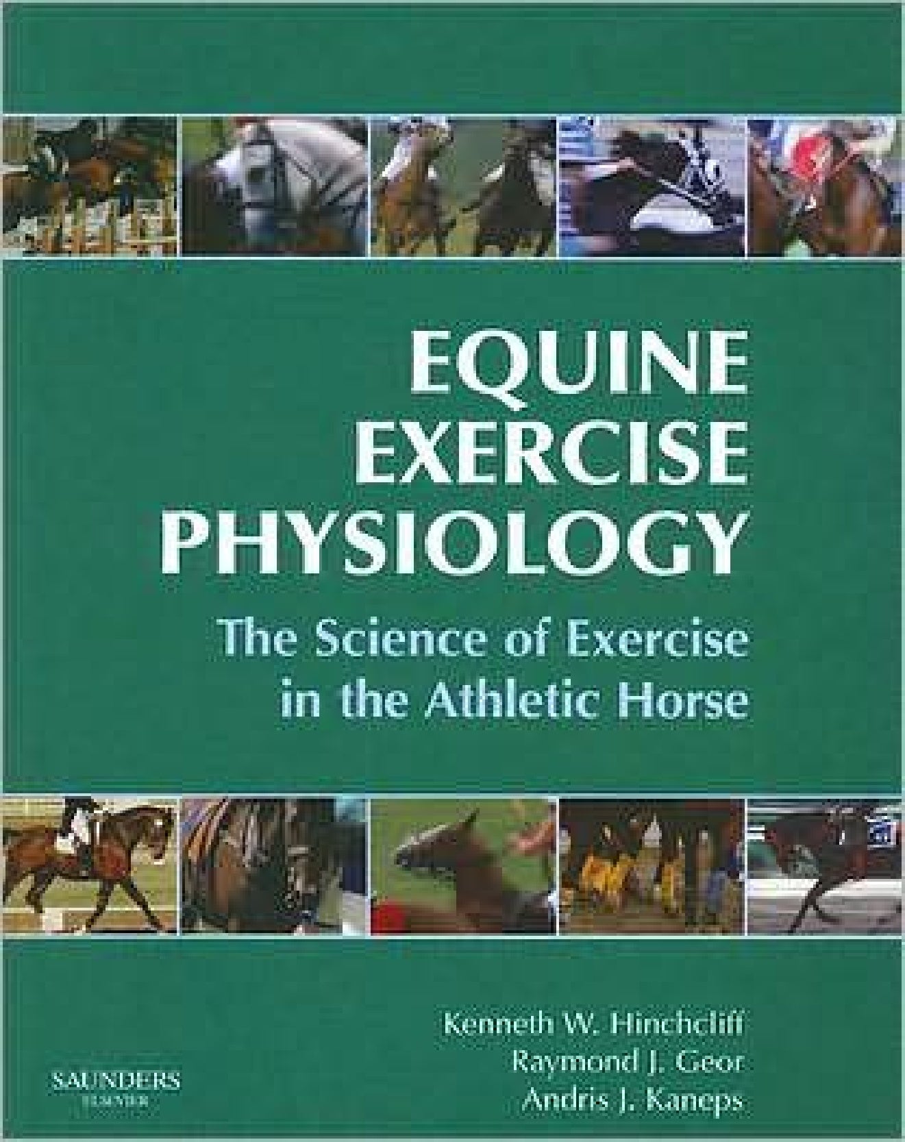 Equine Exercise Physiology The Science Of Exercise In The Athletic Horse