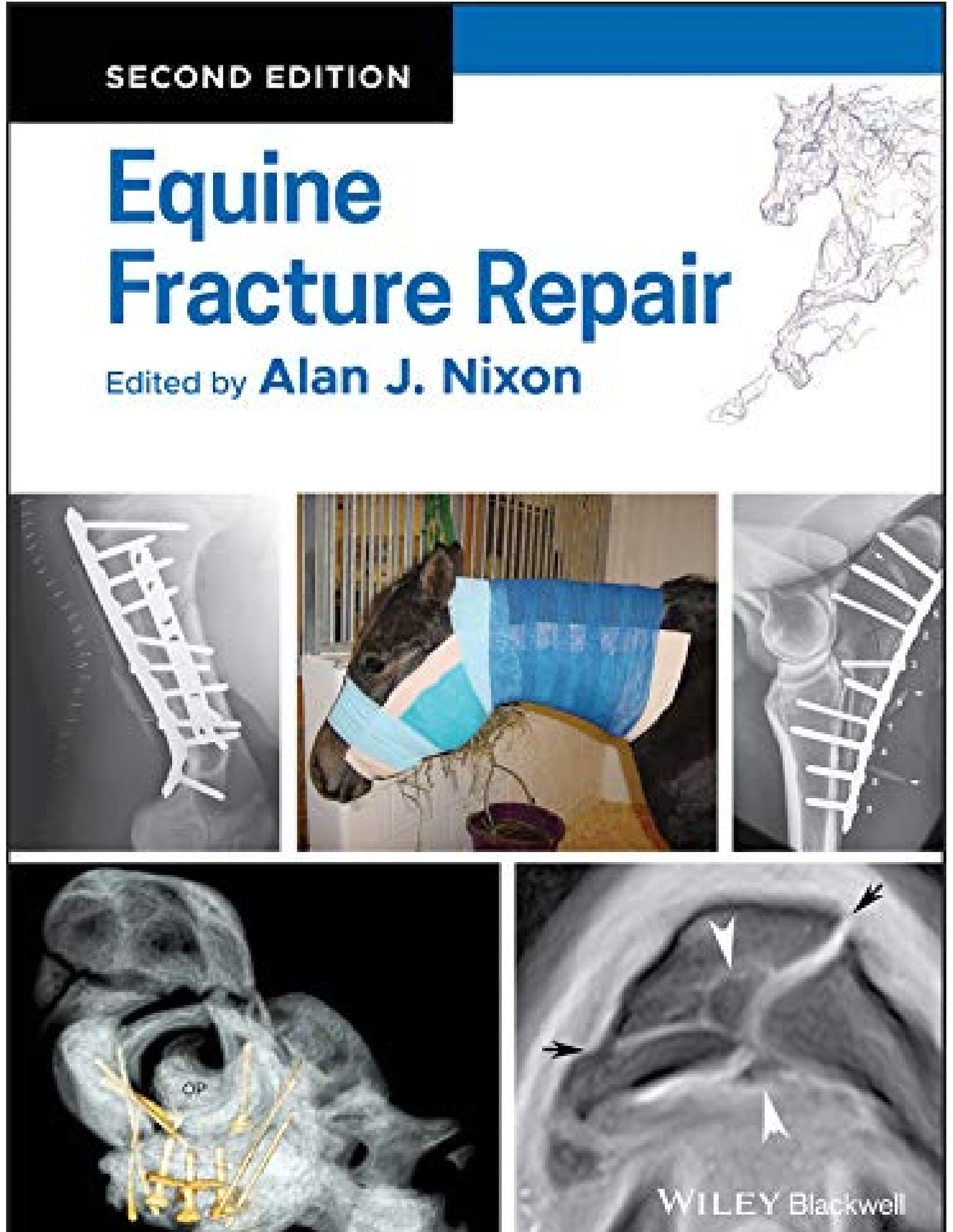 Equine Fracture Repair 2Nd Edition