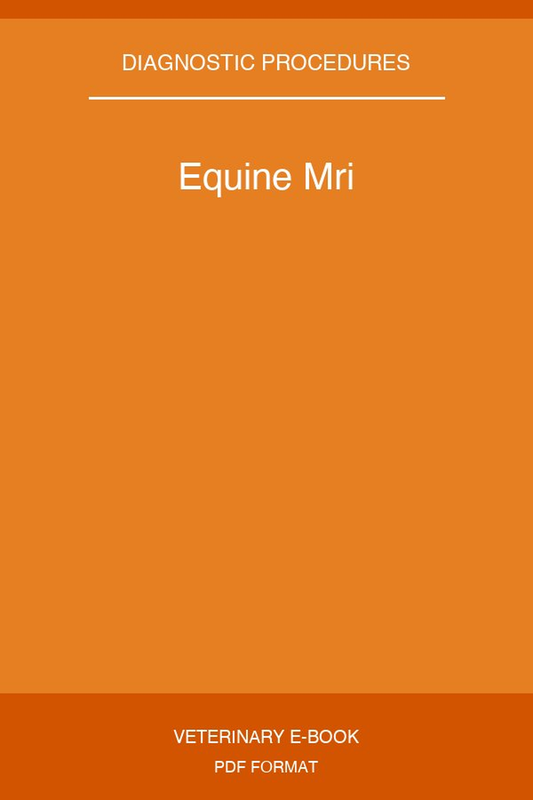 Equine Mri