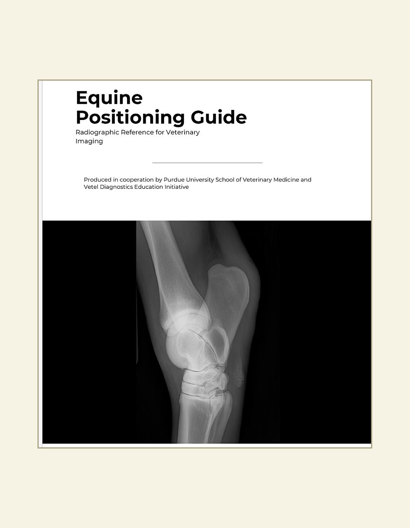 Equine Radiographic Positioning Guide — front cover