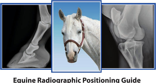 Equine Radiographic Positioning Guide