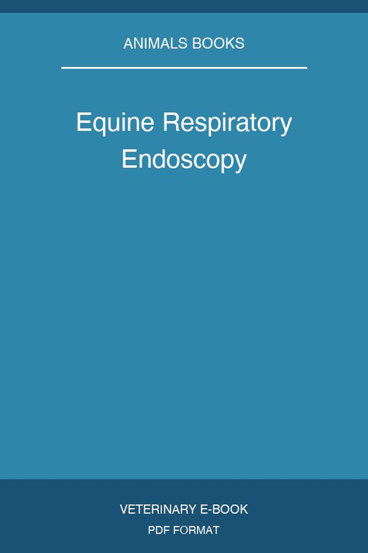 Equine Respiratory Endoscopy
