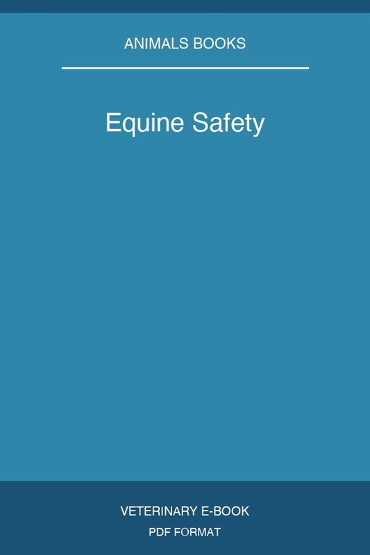 Equine Safety