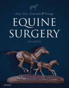 Equine Surgery 5Th Edition