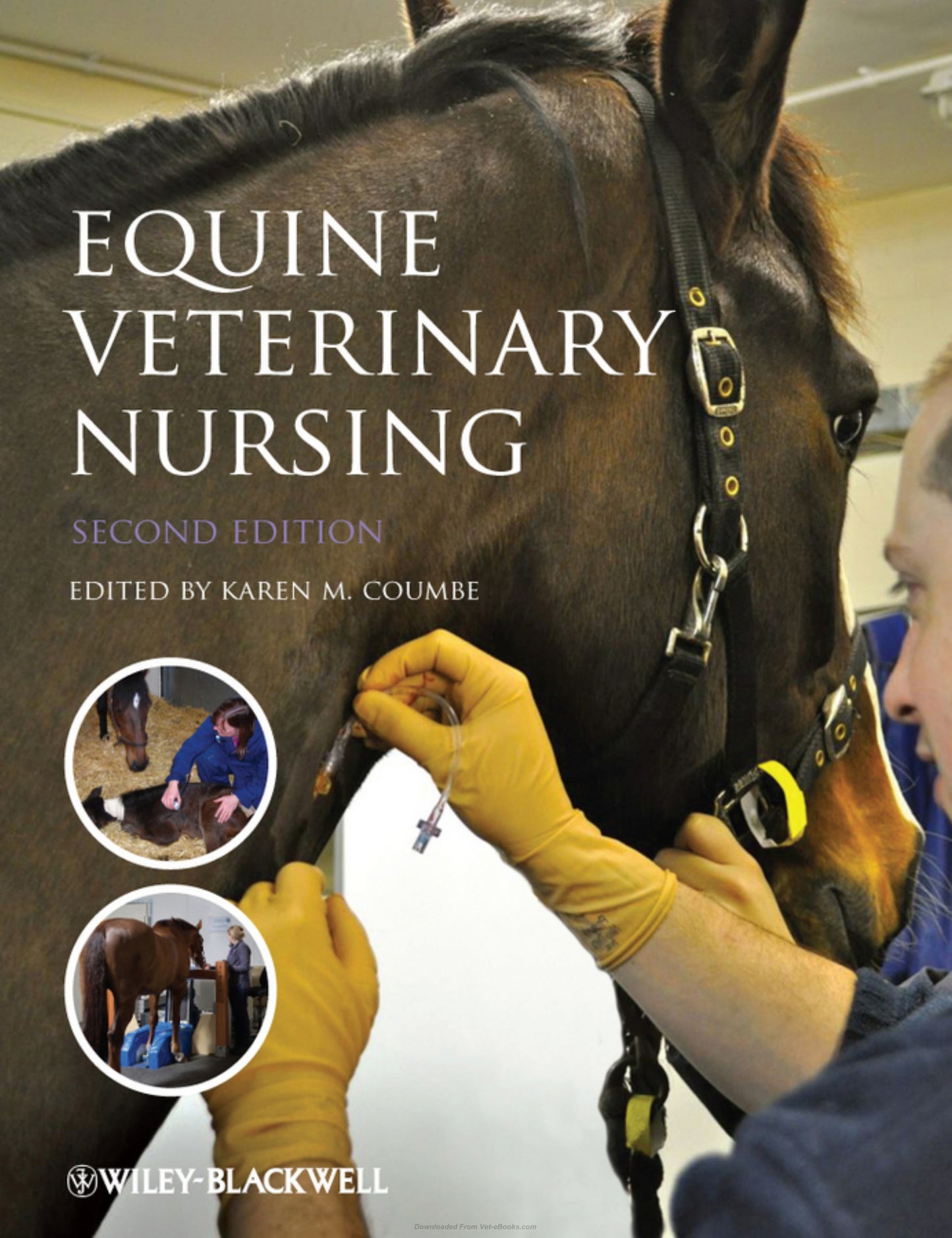 Equine Veterinary Nursing 2Nd Edition