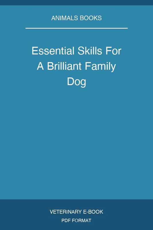Essential Skills For A Brilliant Family Dog