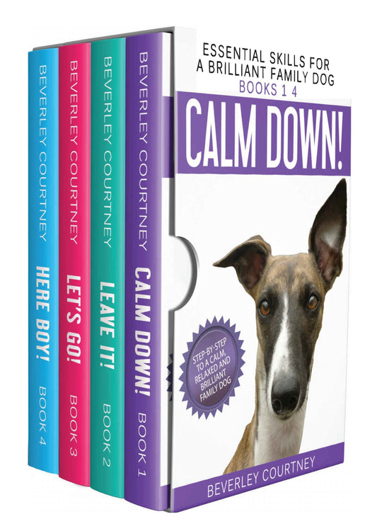 Essential Skills For A Brilliant Family Dog