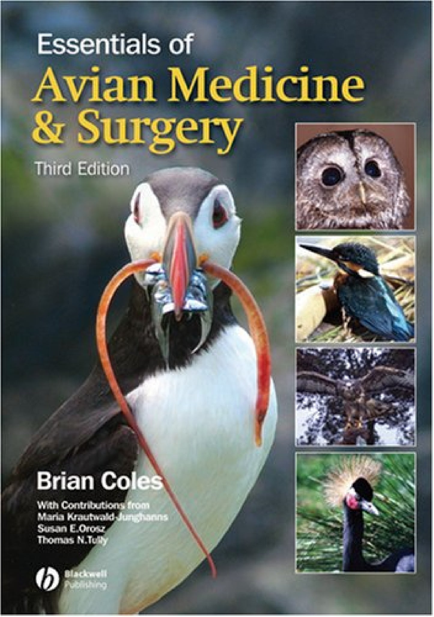 Essentials Of Avian Medicine And Surgery 3Rd Edition