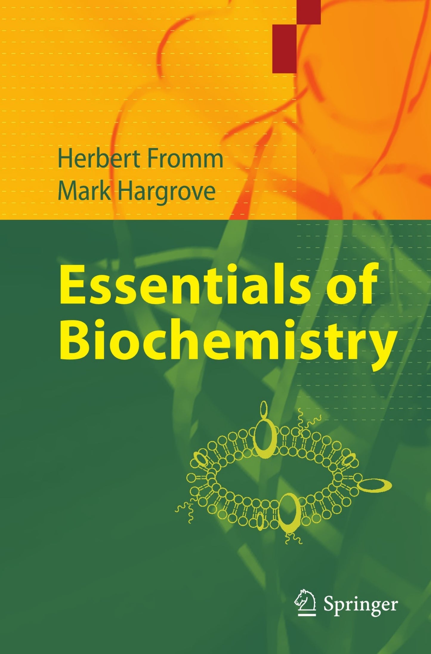 Essentials Of Biochemistry PDF