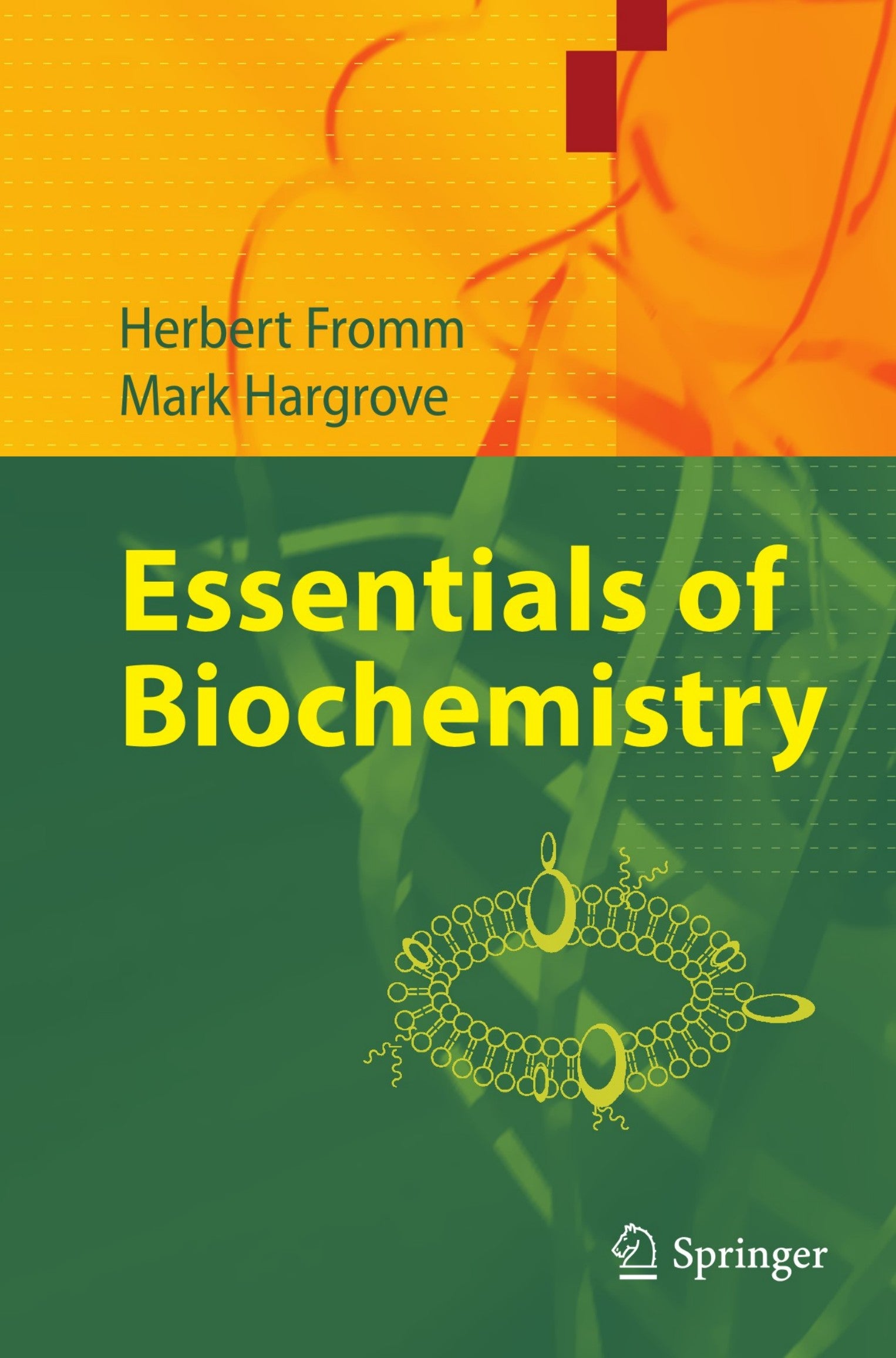 Essentials Of Biochemistry PDF
