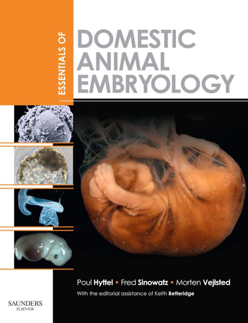 Essentials Of Domestic Animals Embryology