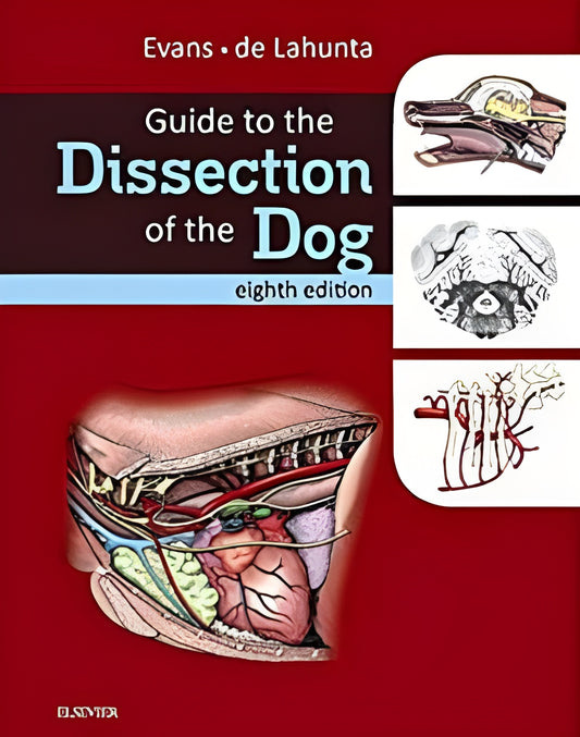 Guide Dissection Dog Download