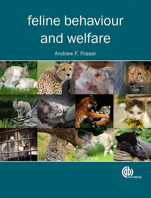 Feline Behaviour And Welfare