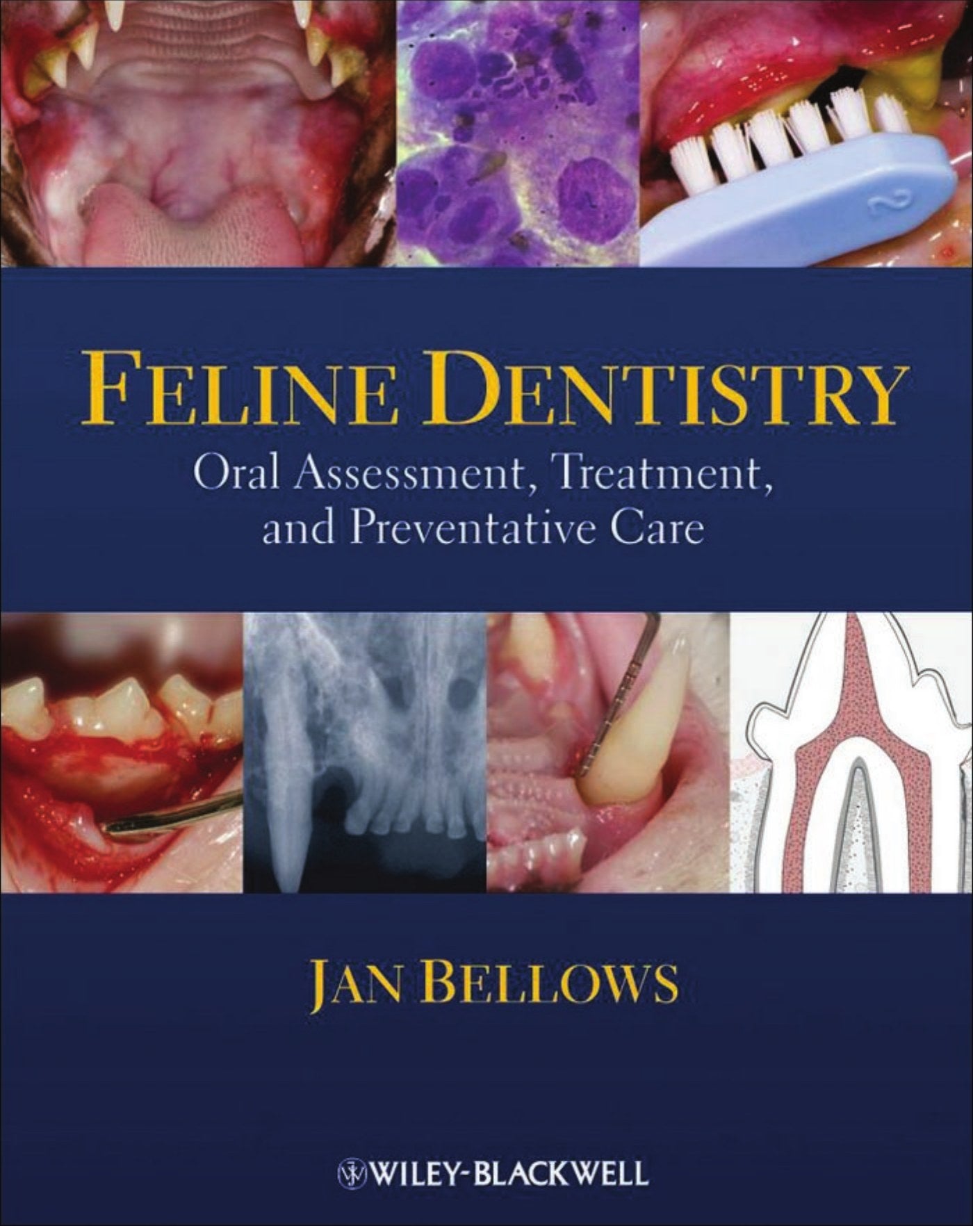 Feline Dentistry Oral Assessment Treatment And Preventative Care