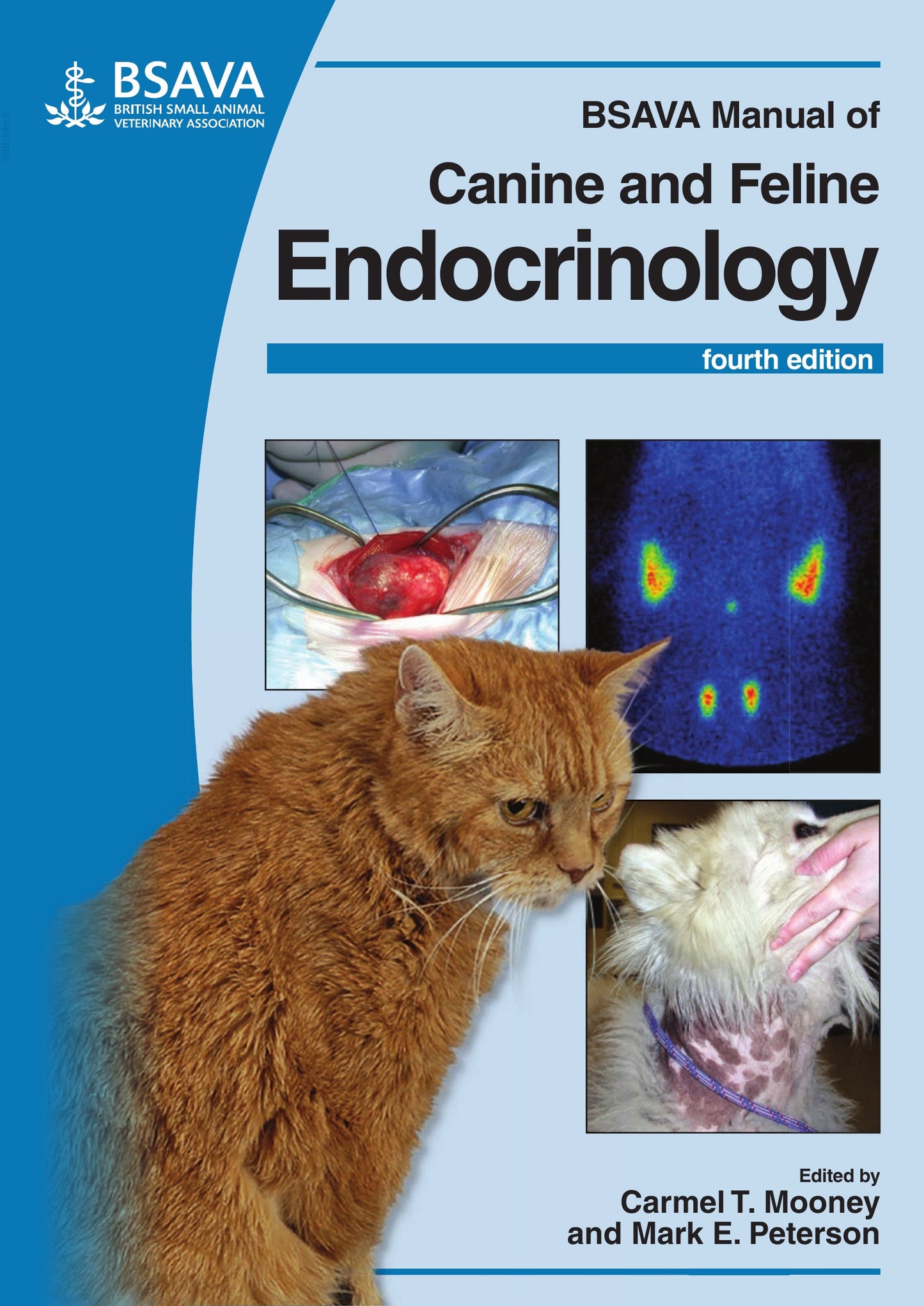 Feline Endocrinology