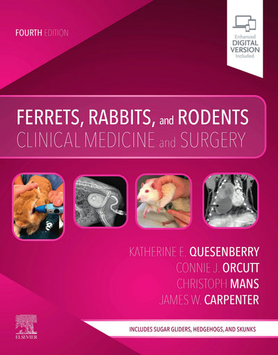 Ferrets Rabbits And Rodents Clinical Medicine And Surgery 4Th Edition