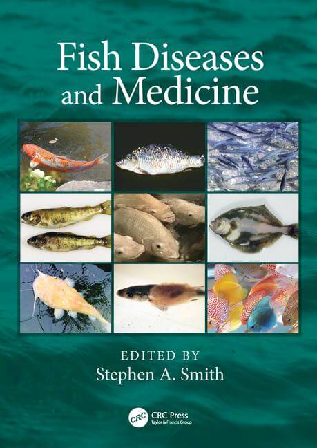 Fishs Diseases And Medicine 1St Edition