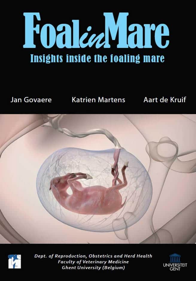 Foalinmare Dvd Insights Inside The Foaling Mare