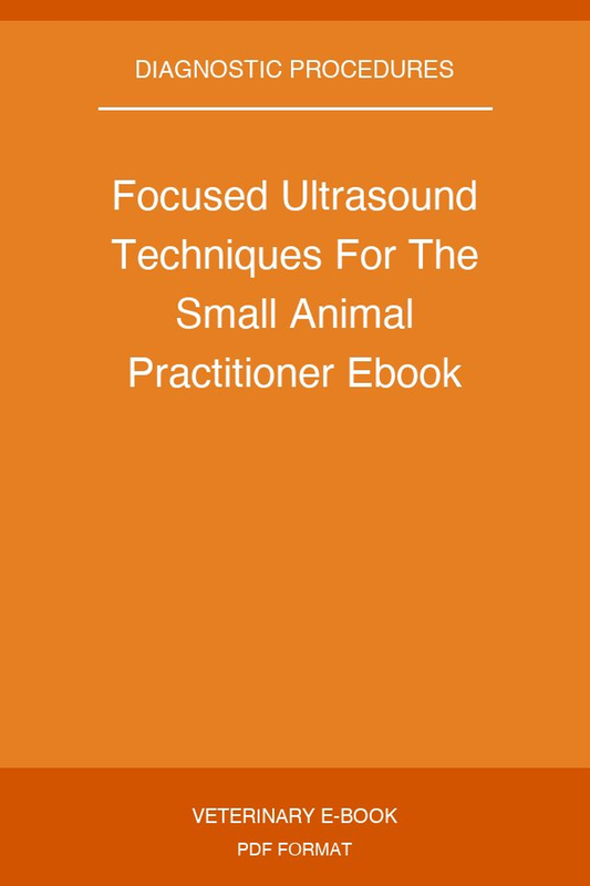 Focused Ultrasound Techniques For The Small Animal Practitioner Ebook