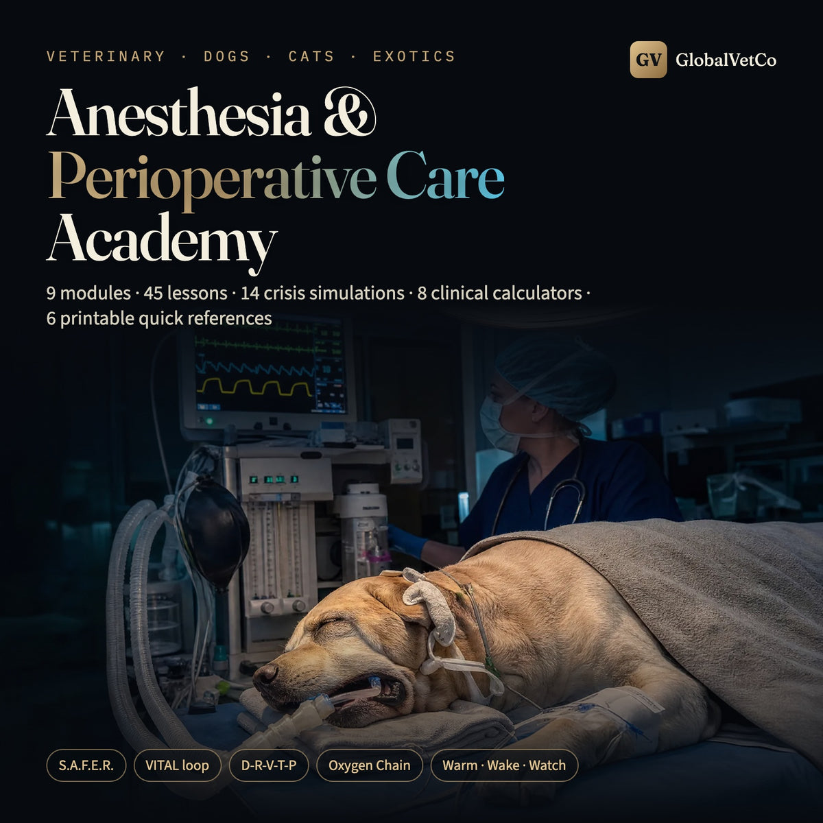 GlobalVet Anesthesia Academy + Anesthesia Library Bundle
