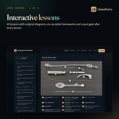 Look inside: interactive lesson with the labeled airway device atlas photo
