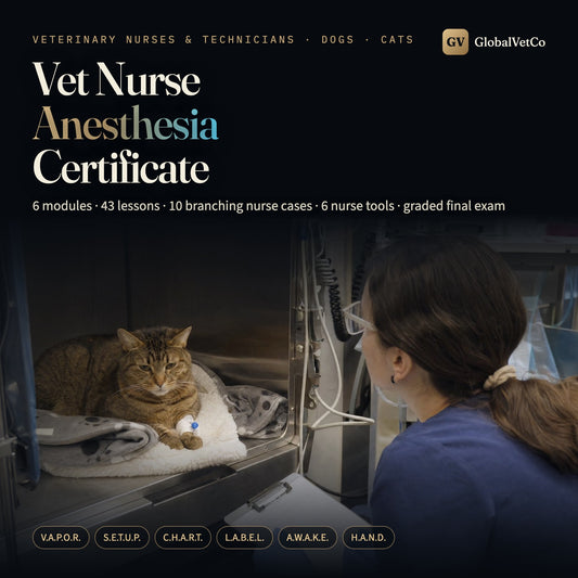GlobalVet Vet Nurse Anesthesia Certificate — Online Course