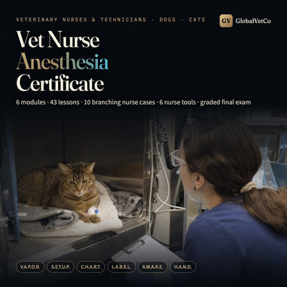 GlobalVet Vet Nurse Anesthesia Certificate — Online Course