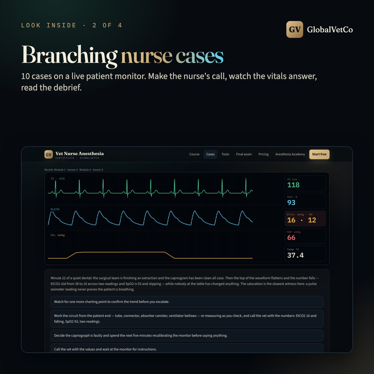 Look inside: branching nurse cases on a live patient monitor