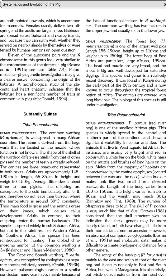 Genetics Of The Pig