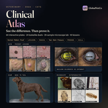 GlobalVet Clinical Atlas + Reference Library Bundle