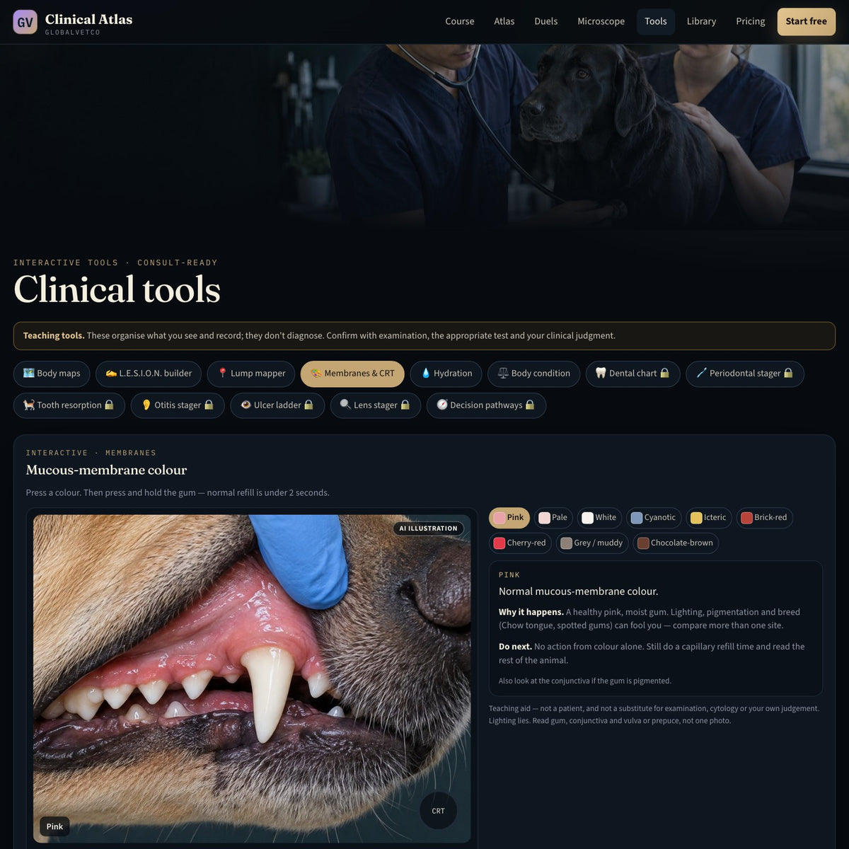 GlobalVet Clinical Atlas + Reference Library Bundle — look inside 5
