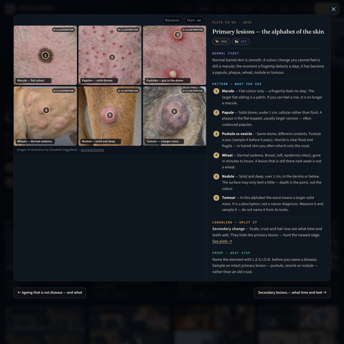 GlobalVet Clinical Atlas — Dog & Cat Visual Diagnosis Course — look inside 1