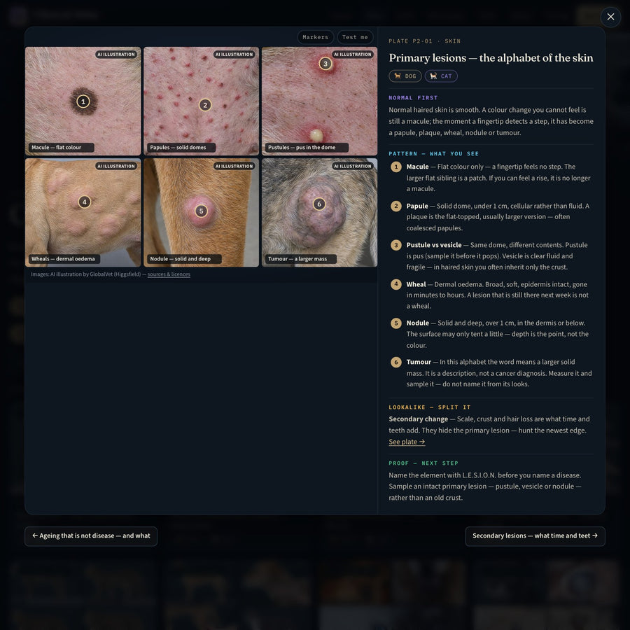 GlobalVet Clinical Atlas — Dog & Cat Visual Diagnosis Course — look inside 1